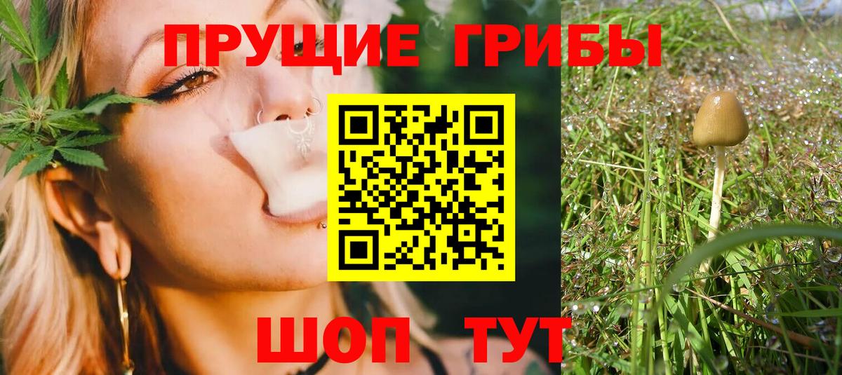 Бошки Шишки  Гашиш  Меф   Петропавловск-Камчатский  ГАШИШ  Вход с VPN  COCAIN 